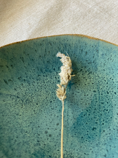 6 1/2" Round Blue Plate