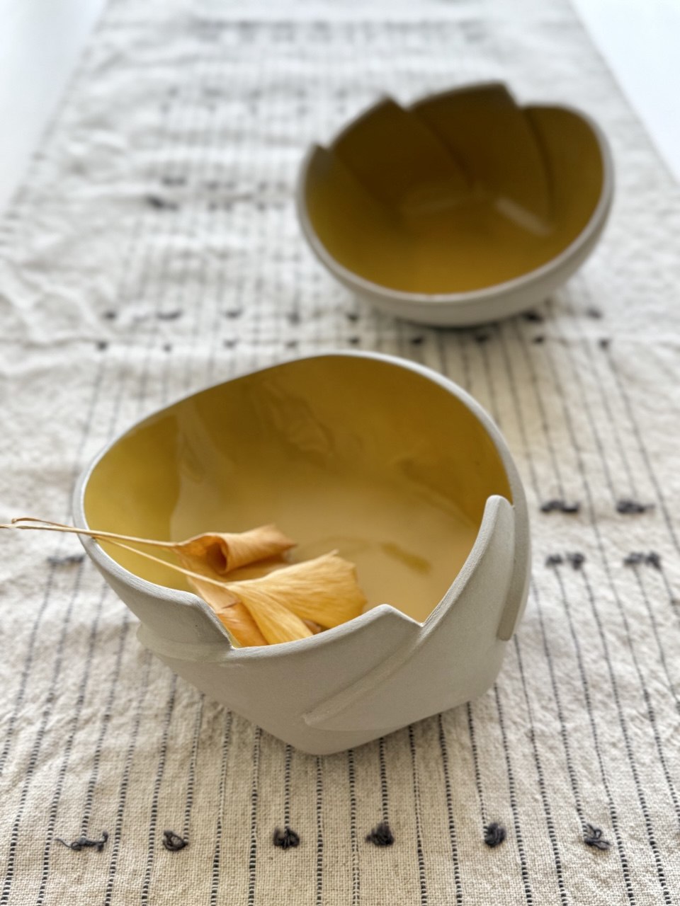 Ceramic Tutorial Video - Step by Step Guide on How to Make a Tri-Cut Bowl