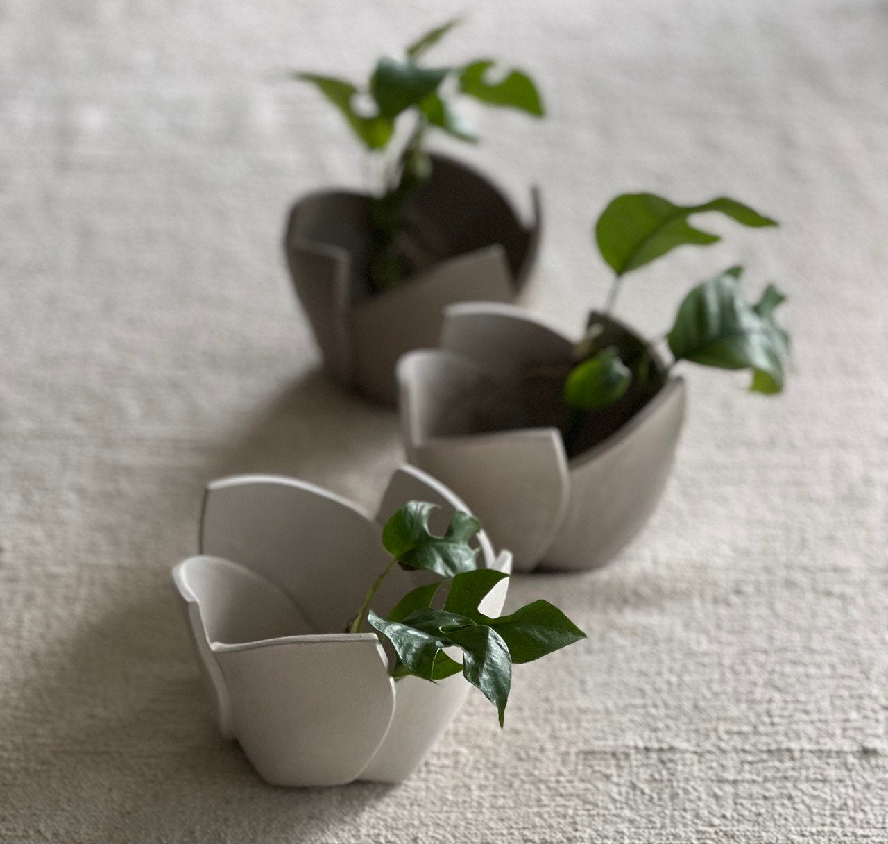 Ceramic Tutorial Video No: 5 - Step by Step Guide on How to Make a Cut and Fold Tulip Planter