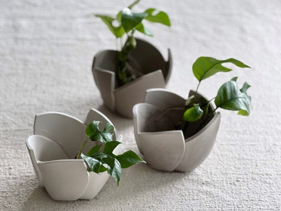 Ceramic Tutorial Video No: 5 - Step by Step Guide on How to Make a Cut and Fold Tulip Planter