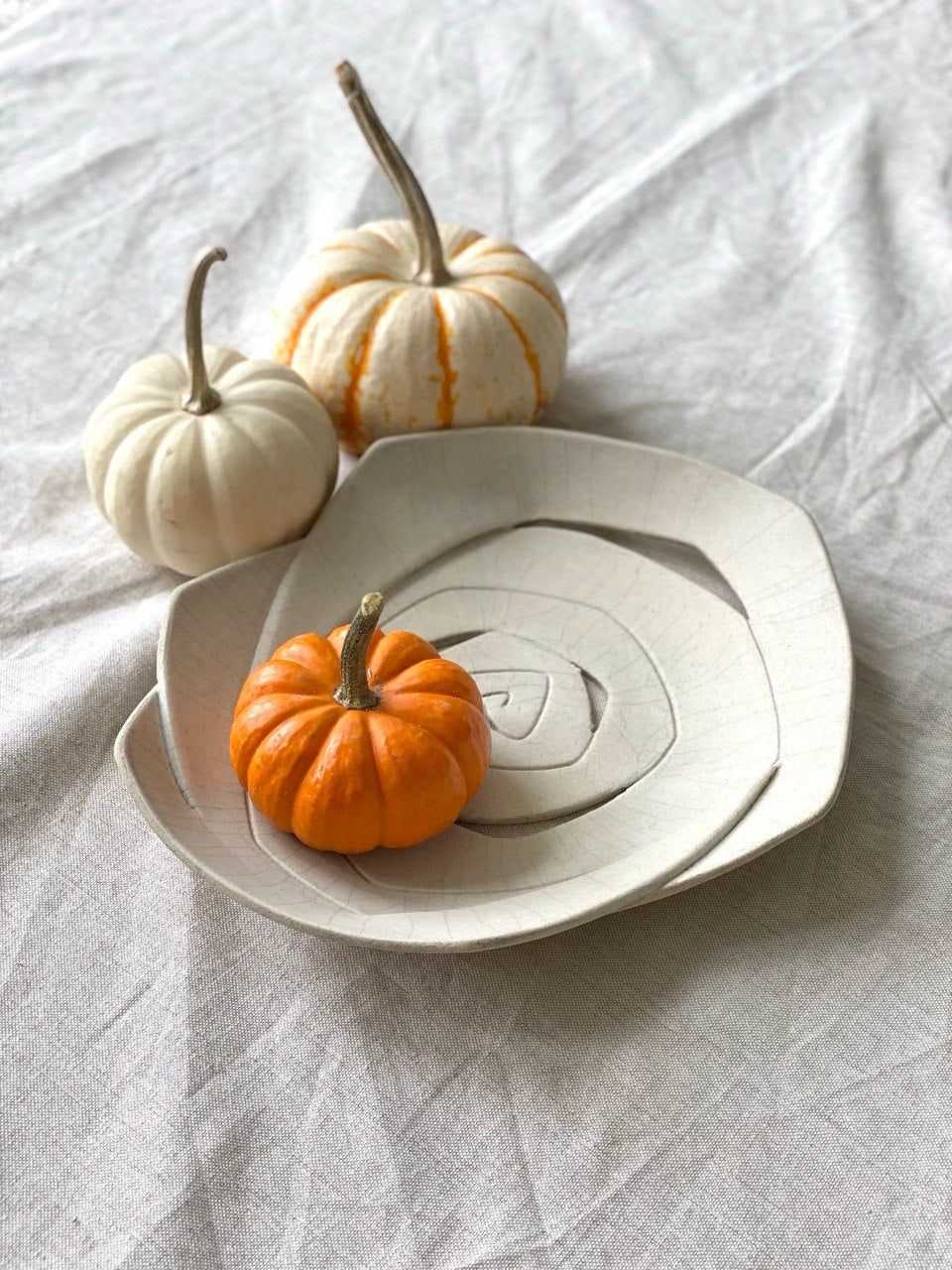 No. 31 - Spiral Plate Template