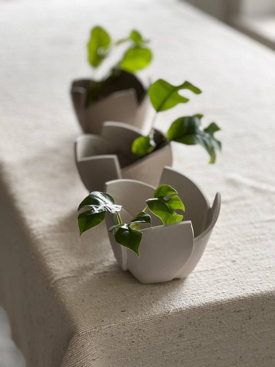 Ceramic Template No. 5- Cut & Fold Vase/ Planter