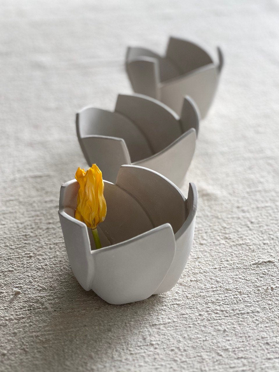 Ceramic Tutorial Video - Step by Step Guide on How to Make a Cut and Fold Tulip Planter